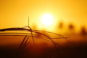 Insivumeh sobre las altas temperaturas
